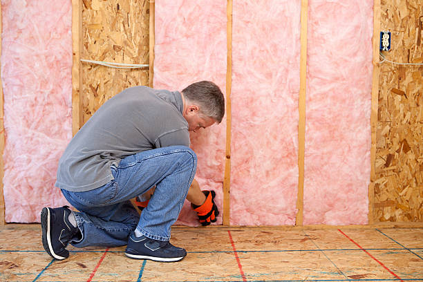 Best Insulation for Specific Applications in Twisp, WA